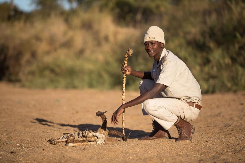 Karongwe River Safari Lodge image