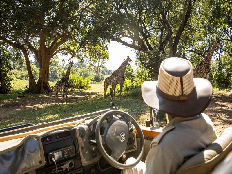 Karongwe River Safari Lodge image