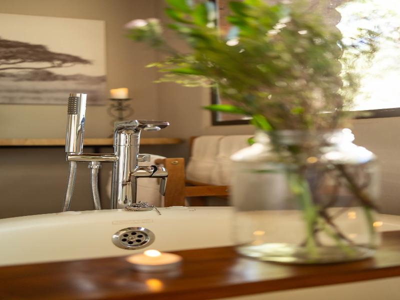 Karongwe River Safari Lodge image