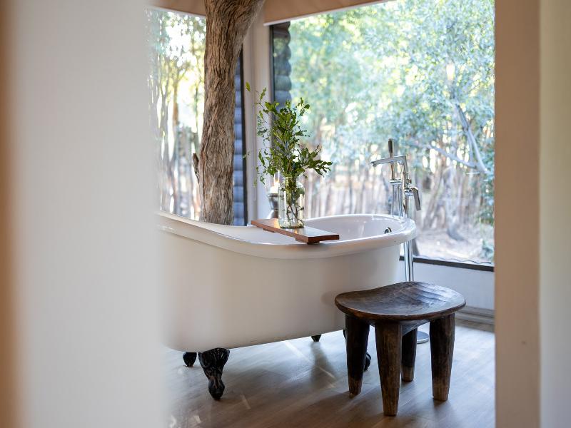 Karongwe River Safari Lodge image