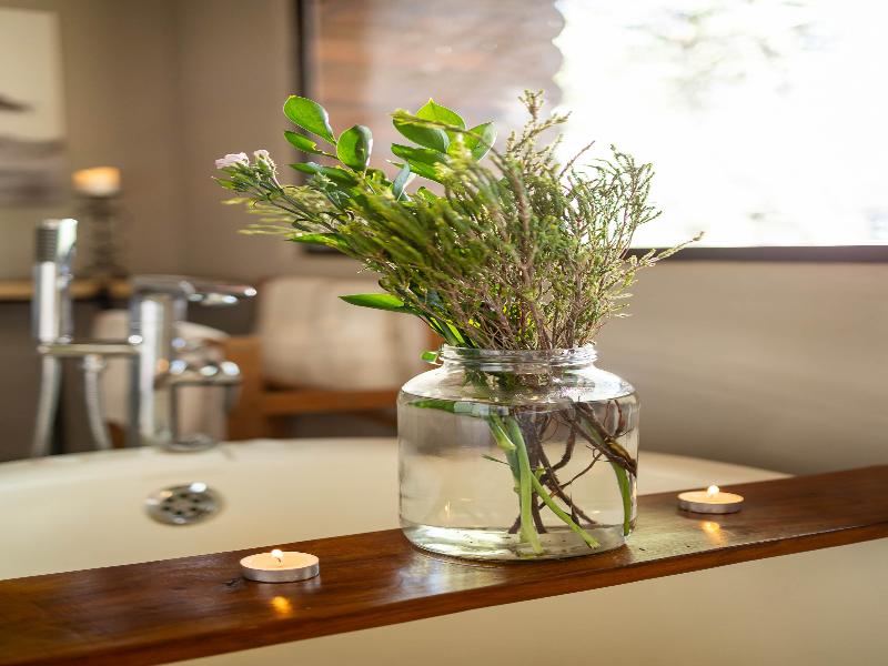 Karongwe River Safari Lodge image