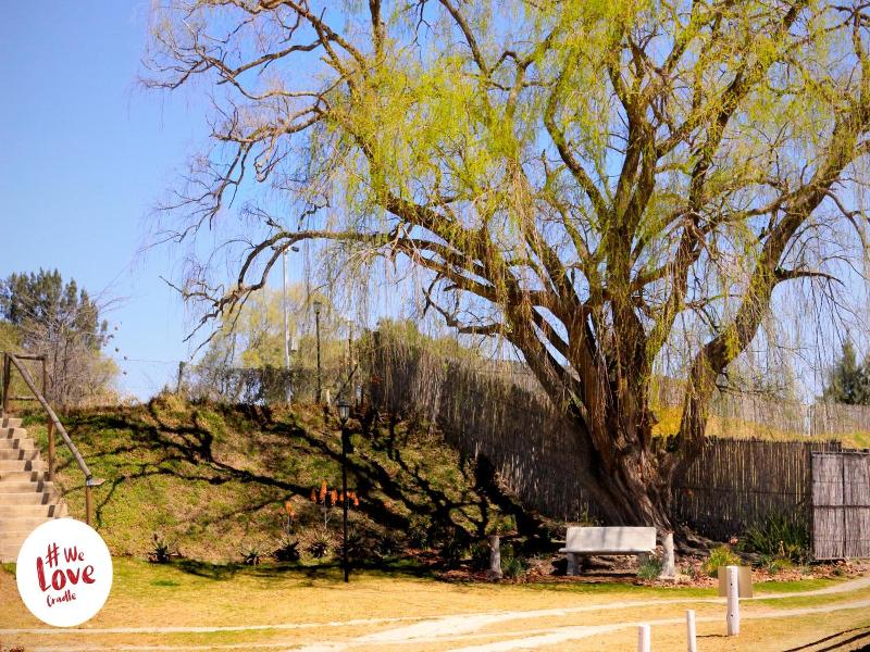 Lanseria Country Estate image