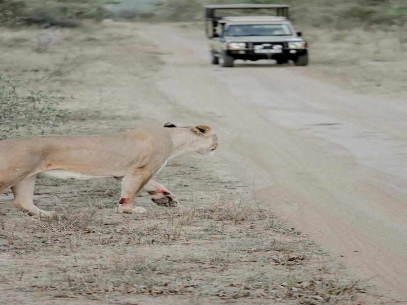 Moditlo River Lodge image