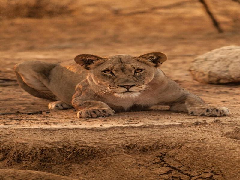 Moditlo River Lodge image