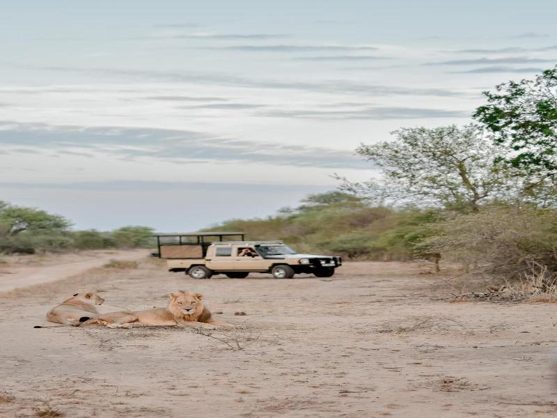 Moditlo River Lodge image