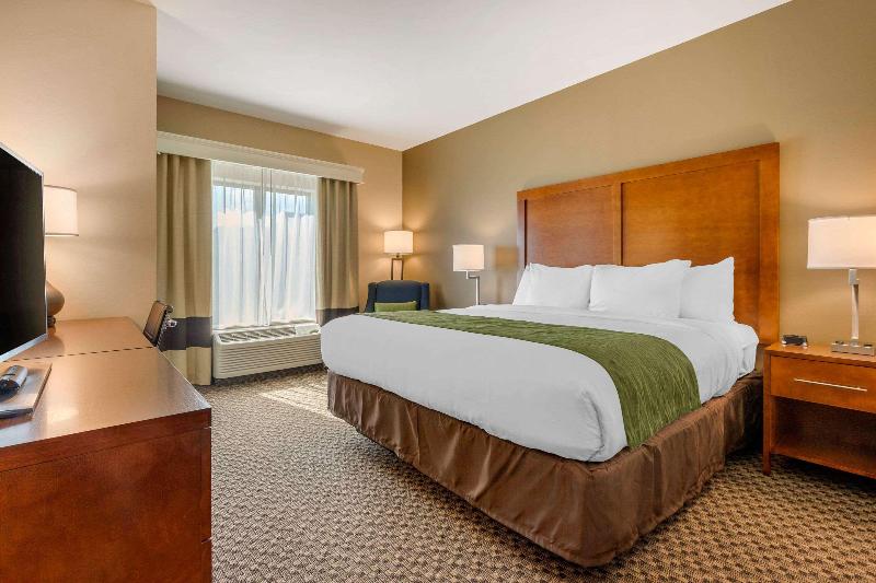 Comfort Inn & Suites Florence Center Area image