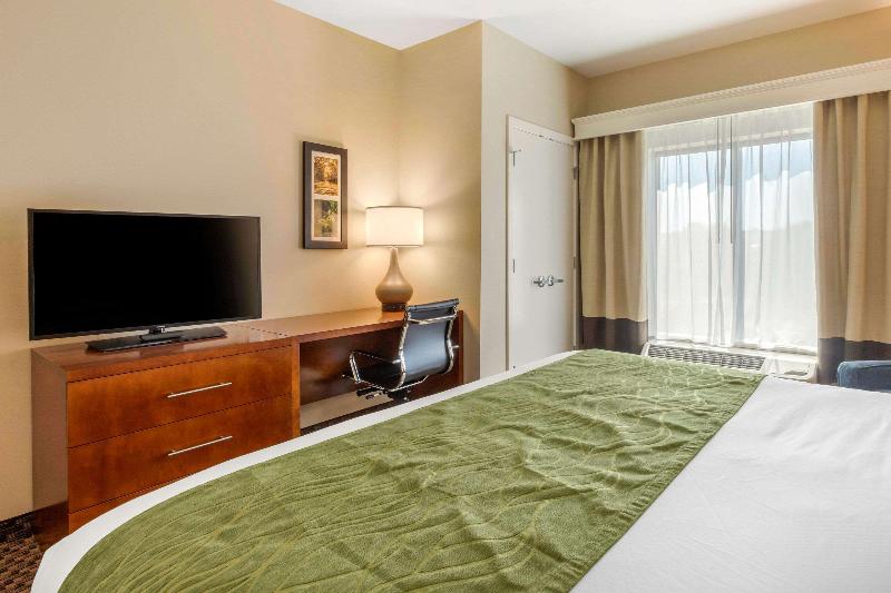 Comfort Inn & Suites Florence Center Area image