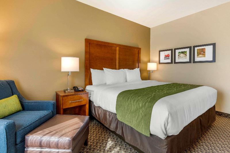 Comfort Inn & Suites Florence Center Area image