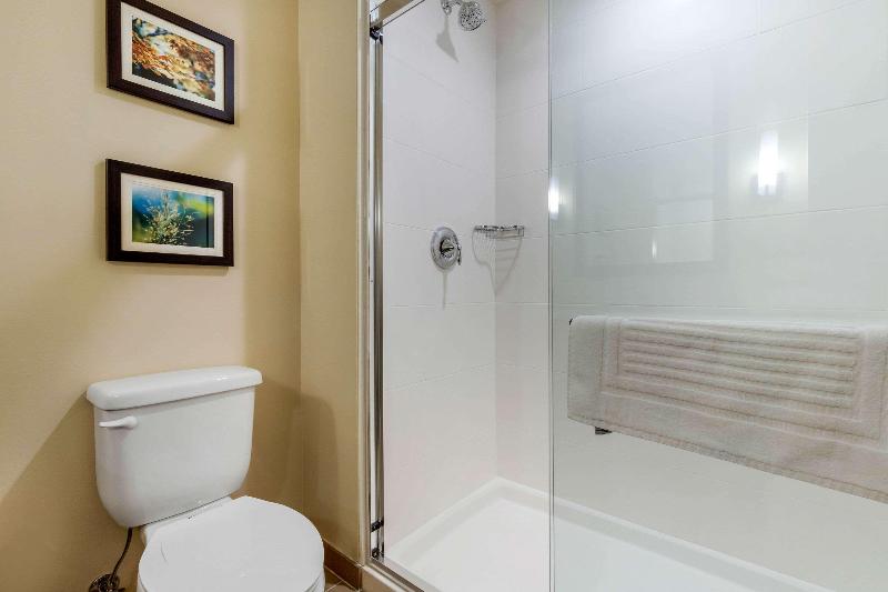 Comfort Inn & Suites Florence Center Area image