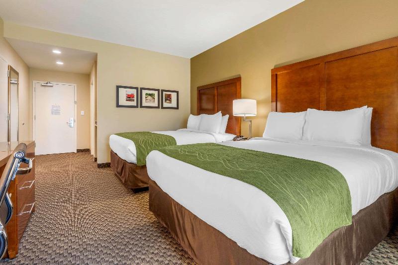 Comfort Inn & Suites Florence Center Area image