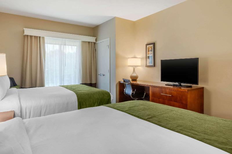 Comfort Inn & Suites Florence Center Area image
