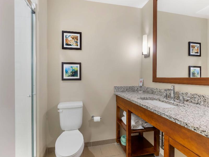 Comfort Inn & Suites Florence Center Area image