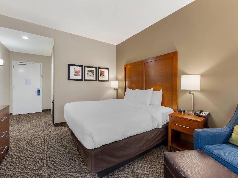 Comfort Inn & Suites Florence Center Area image