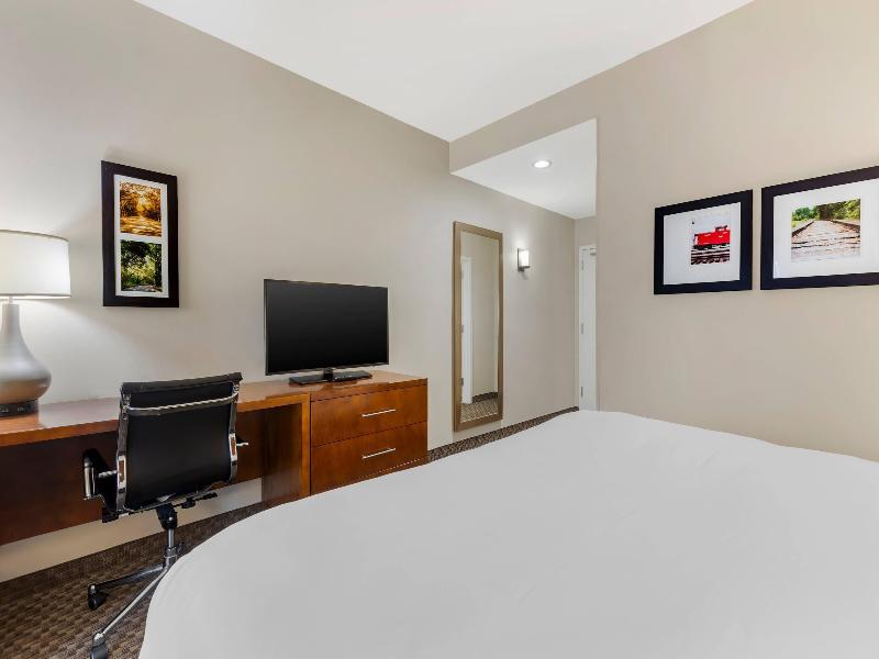 Comfort Inn & Suites Florence Center Area image