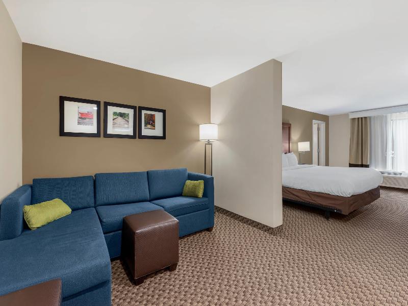 Comfort Inn & Suites Florence Center Area image