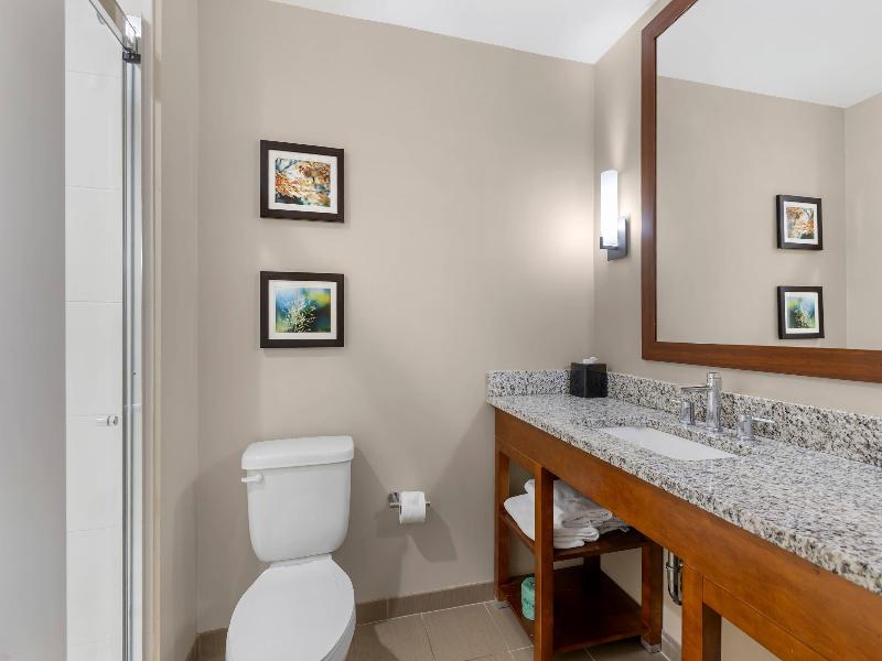 Comfort Inn & Suites Florence Center Area image
