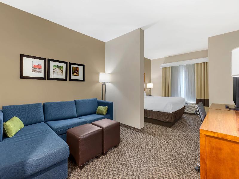 Comfort Inn & Suites Florence Center Area image