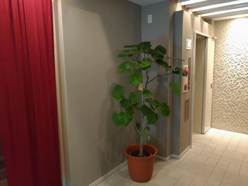 Hotel Axas Nihonbashi image