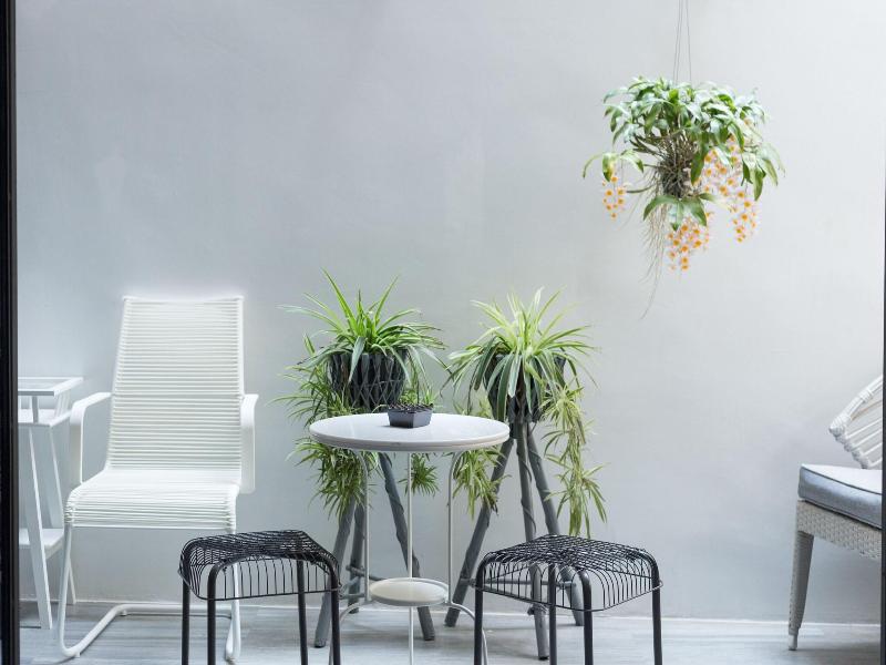 White Ivory Bed Breakfast image