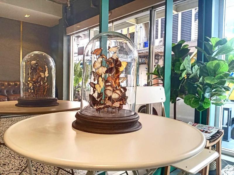 Homie Hostel & Cafe' image