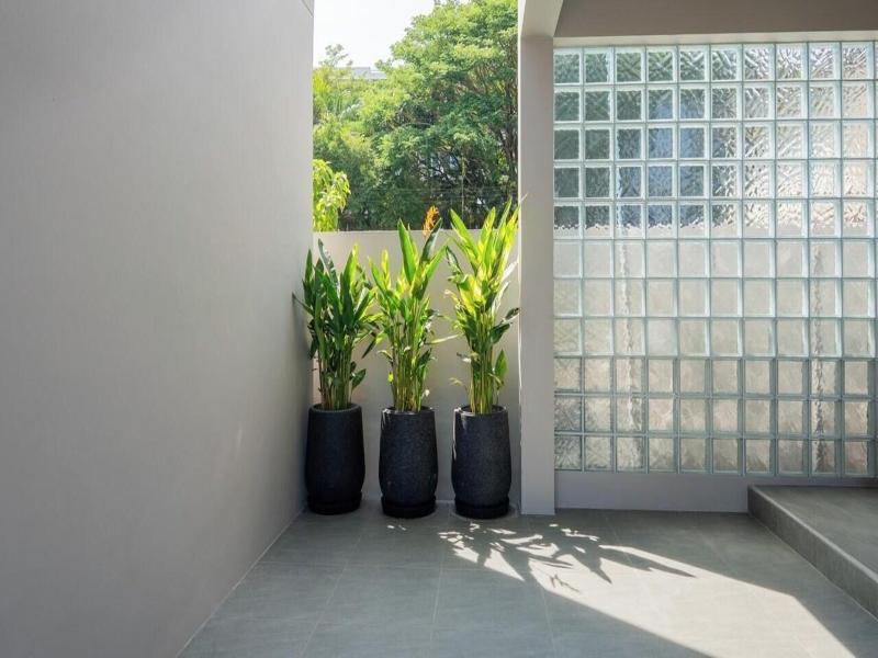 The Regent Resort Phuket image