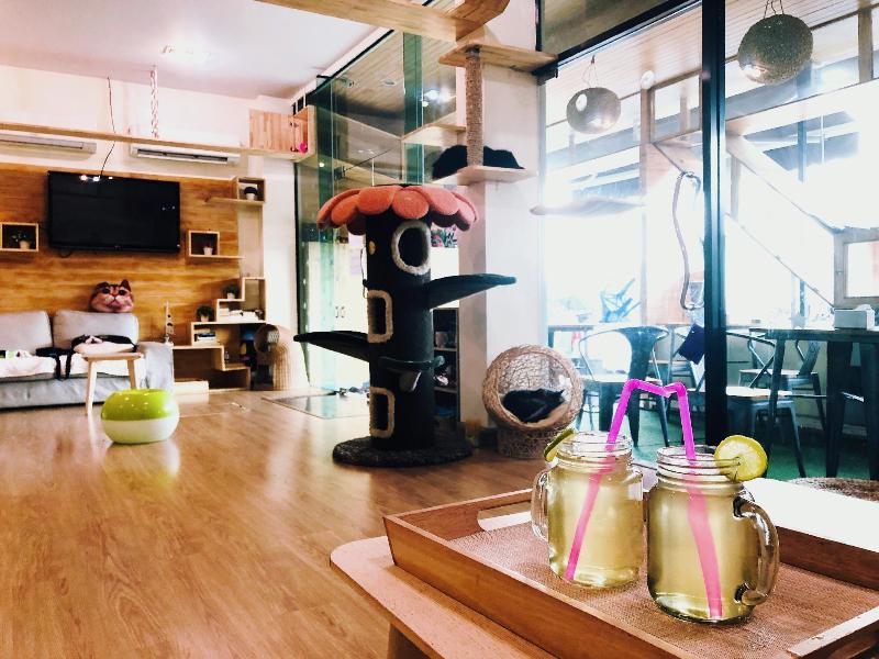 Cat Story Hotel image
