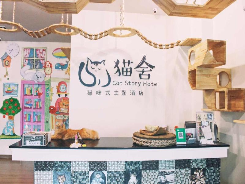 Cat Story Hotel image
