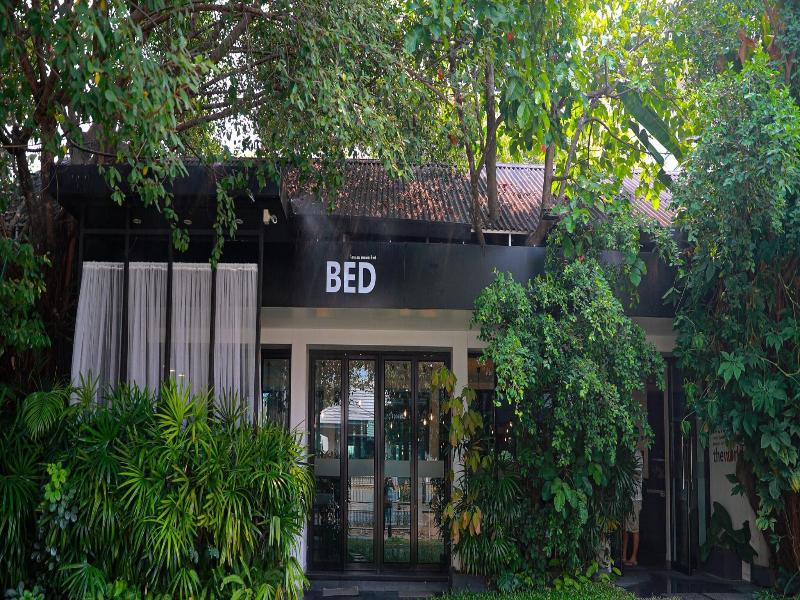 BED Phrasingh - Adult Only