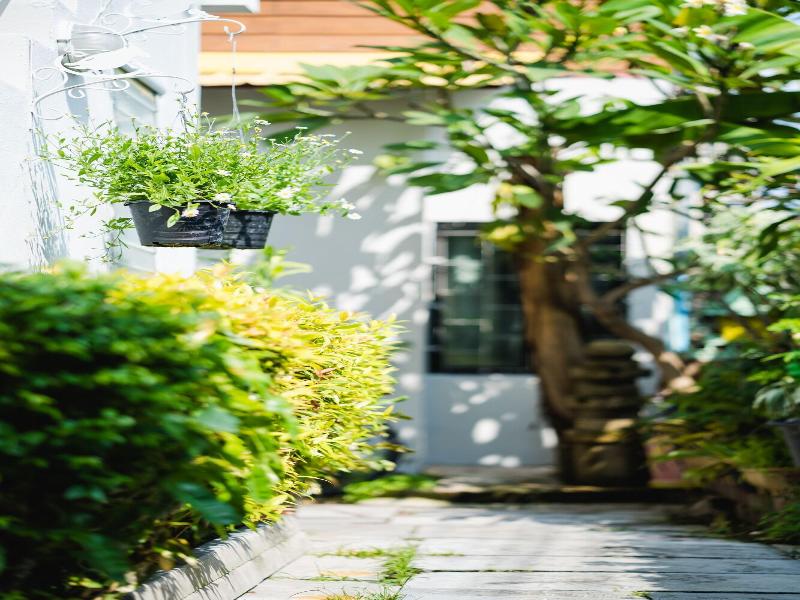 SABUY GUESTHOUSE