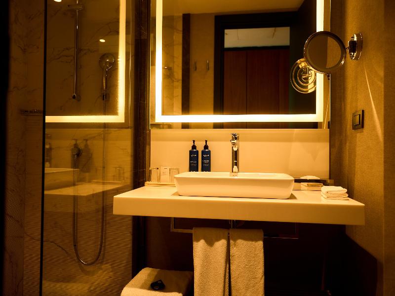 Radisson Blu Hotel & Conference Centre Niamey image