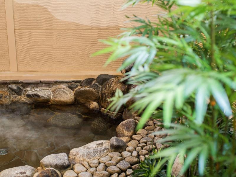 Super Hotel Lohas Jr Nara Station Natural Hot Spri image