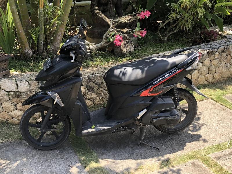 Villa Anjing image