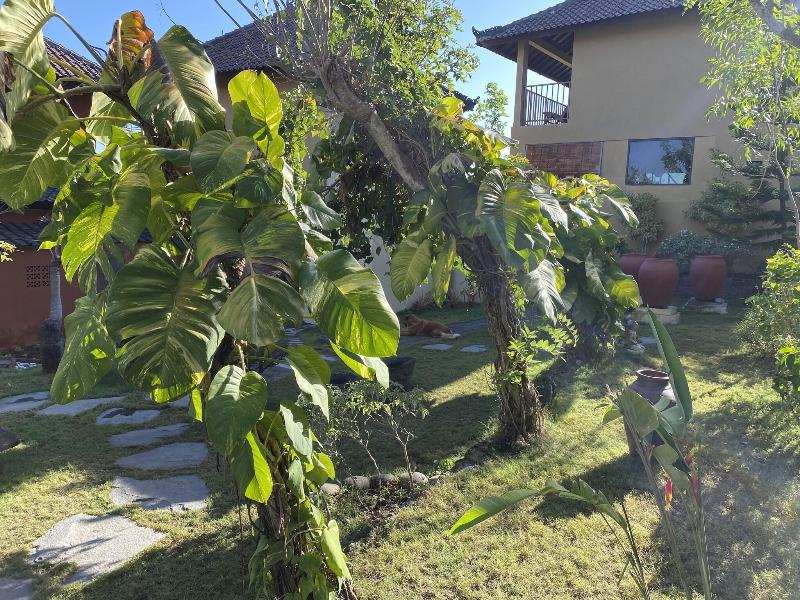 Villa Anjing image