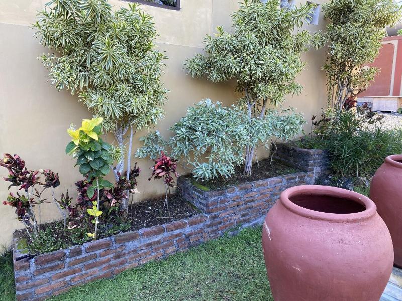Villa Anjing image