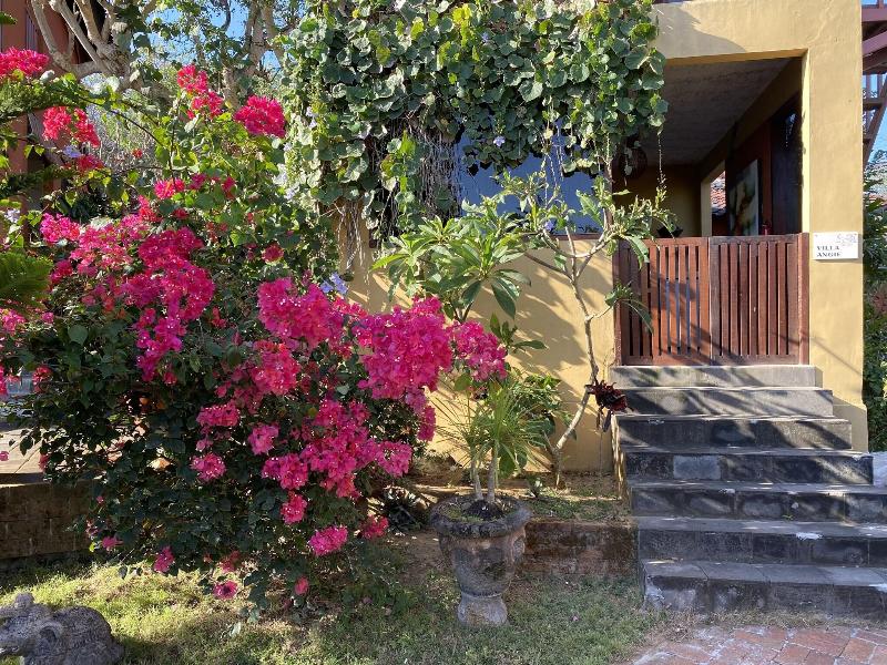Villa Anjing image