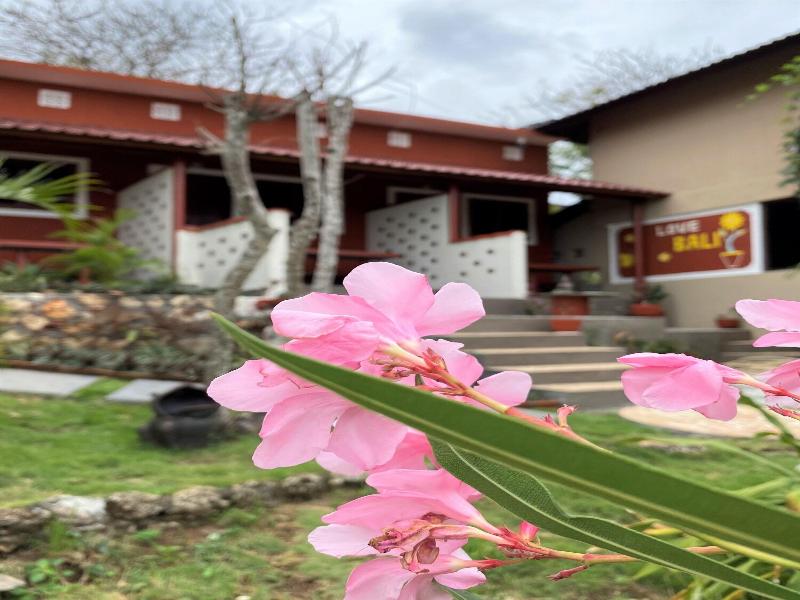 Villa Anjing image