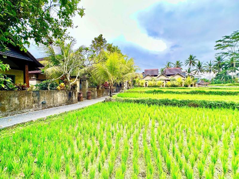 Dupa Ubud Villa image