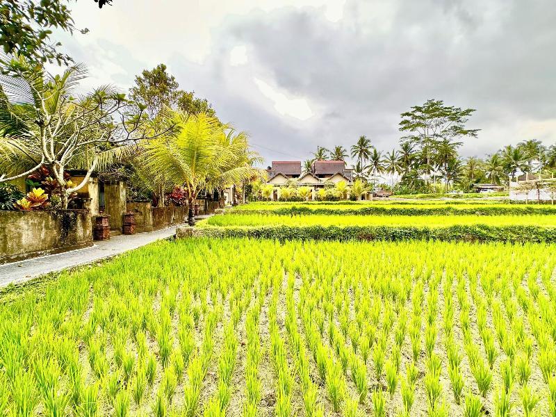 Dupa Ubud Villa image