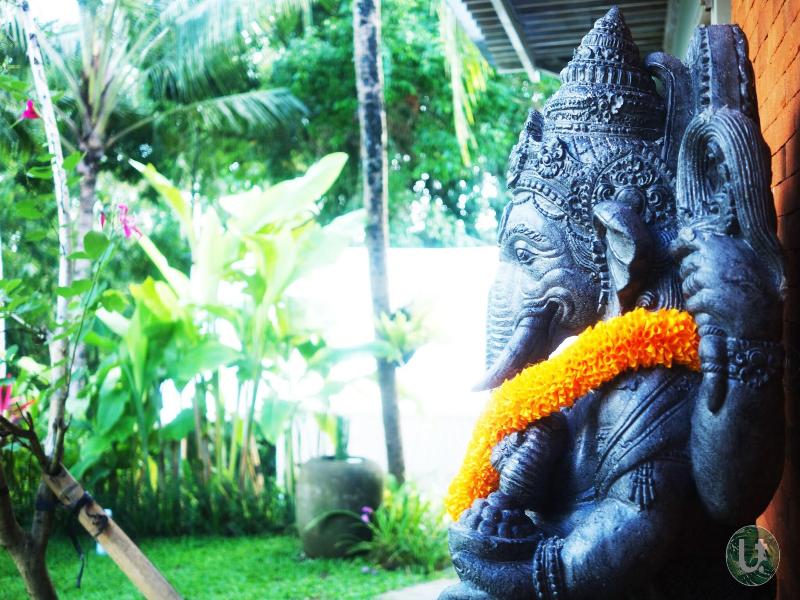 Ubud Tropical image