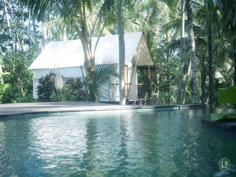 Ubud Tropical image