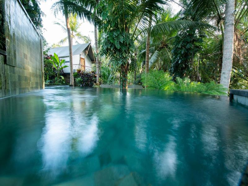 Ubud Tropical image
