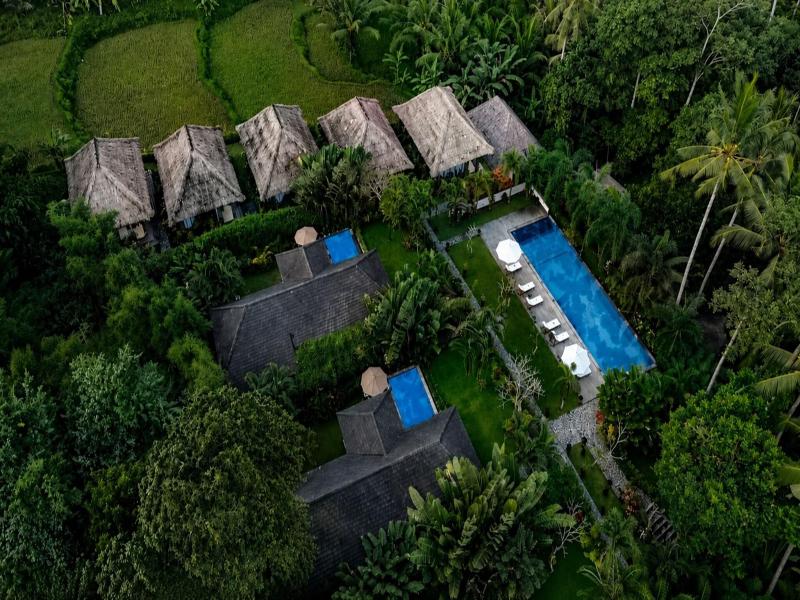 Suara Air Luxury Villa Ubud image