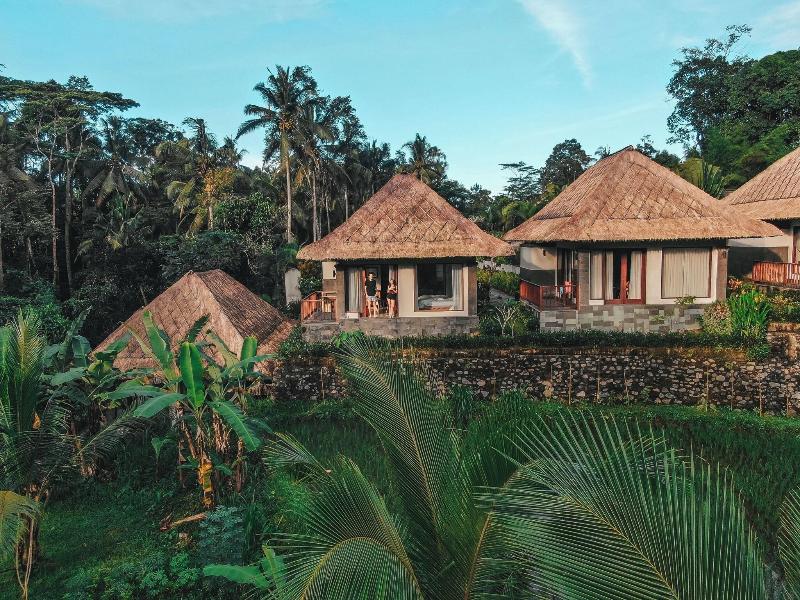 Suara Air Luxury Villa Ubud image