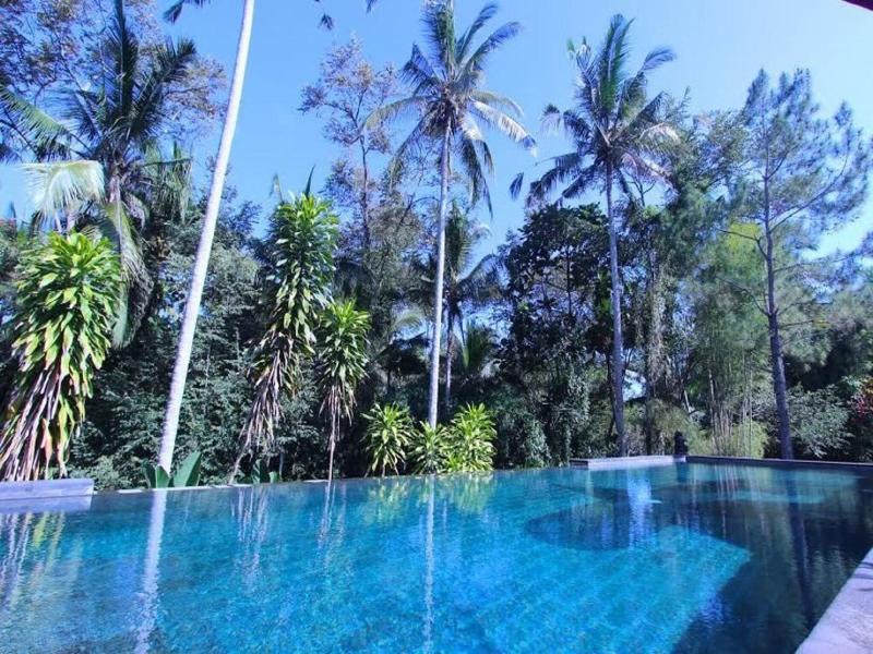 Suara Air Luxury Villa Ubud image