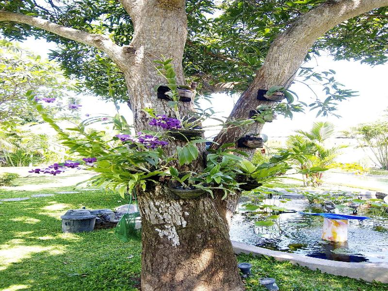 Villa Costa Plenty image