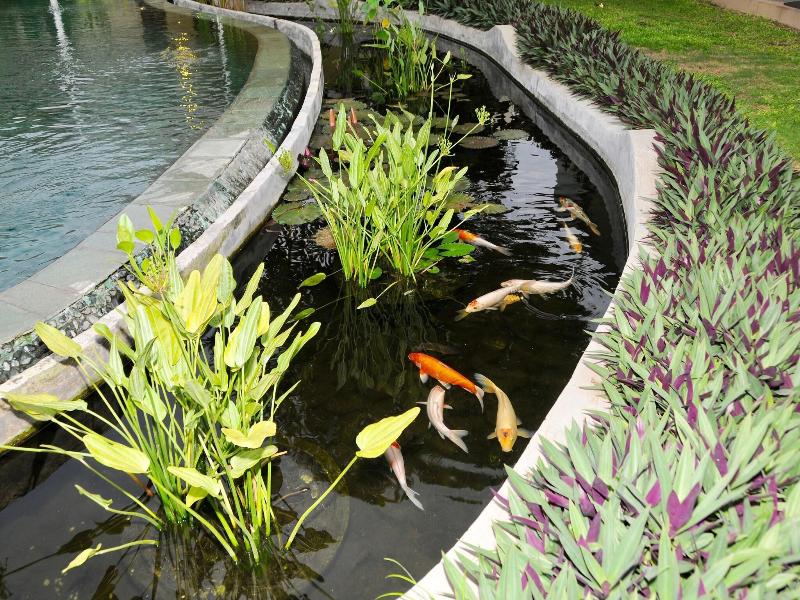Villa Costa Plenty image
