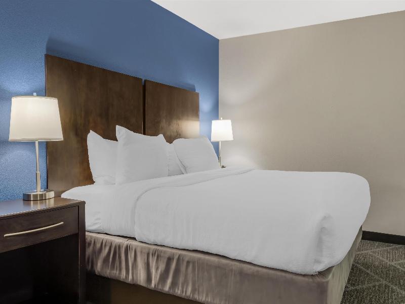 Bw Rochester Hotel Mayo Clinic Area/St. Mary'S image