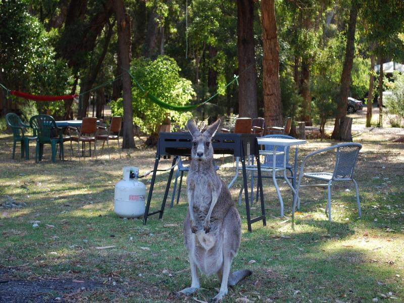Gariwerd Motel Accommodation