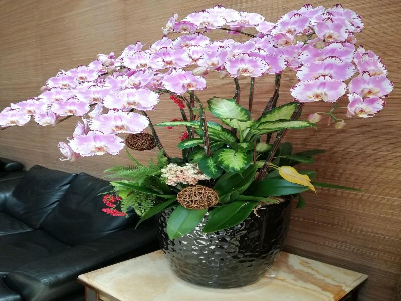 Shan-Yue Hotspring Hotel image