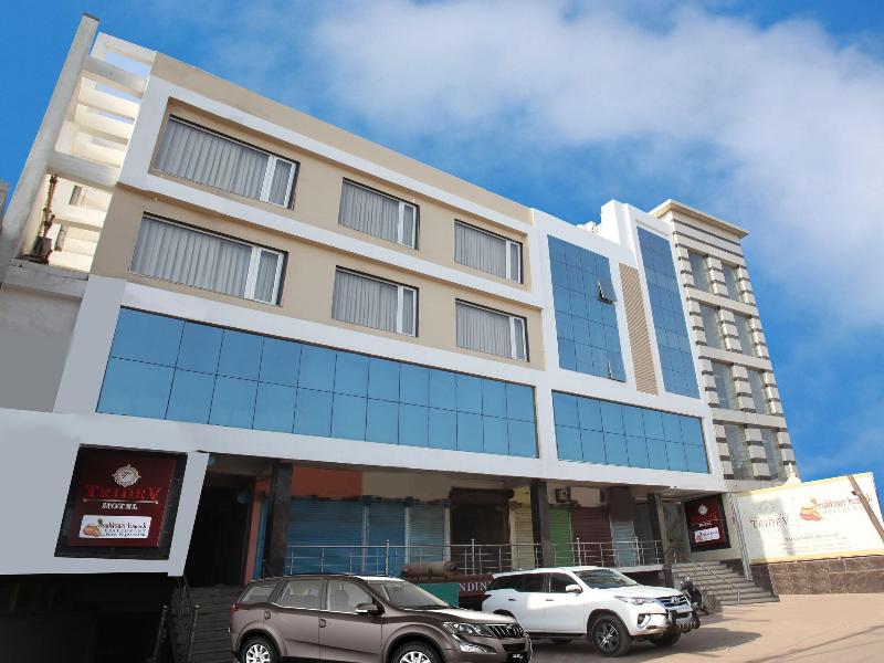 Hotel Tridev image